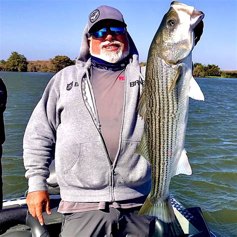 large mouth bass fishing report california|California Delta Fishing Report & Angler’s Guide (2024).